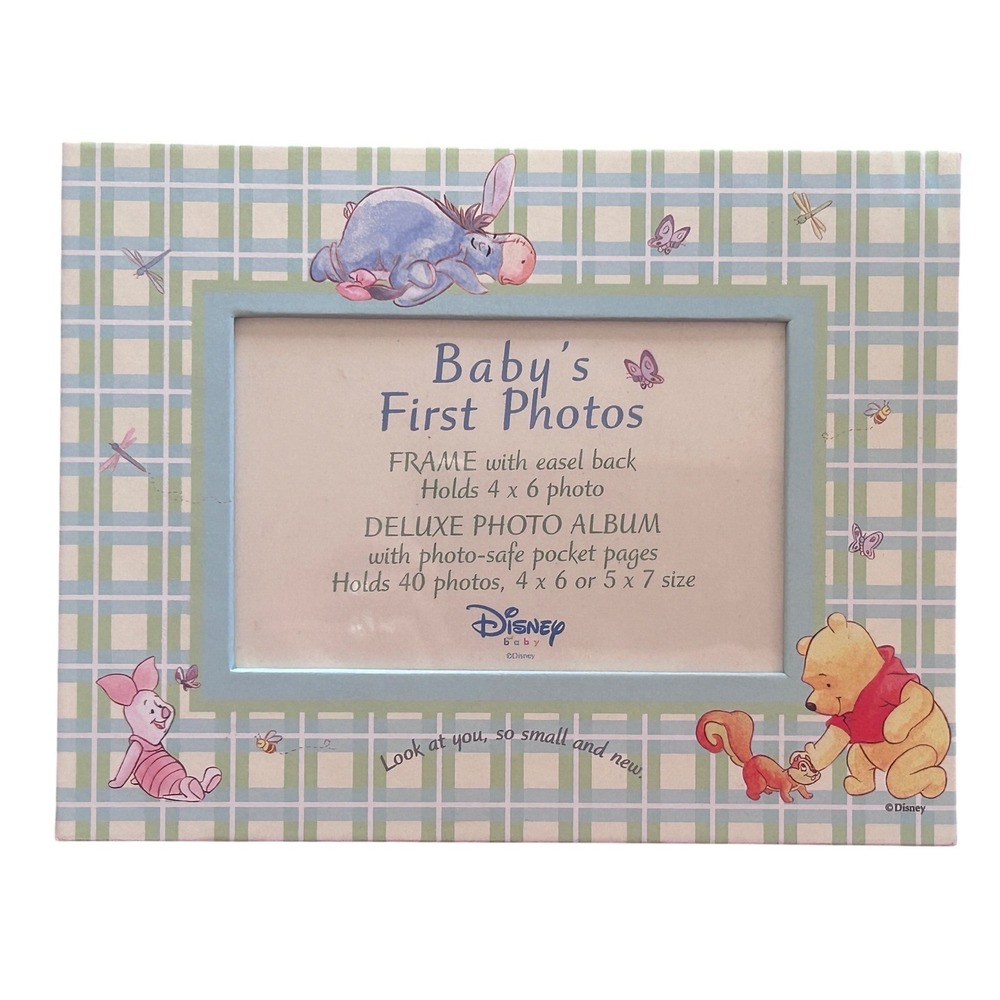 Disney Baby Winnie the Pooh Frame 4x6 Nursery Dragonflies Butterflies Vintage